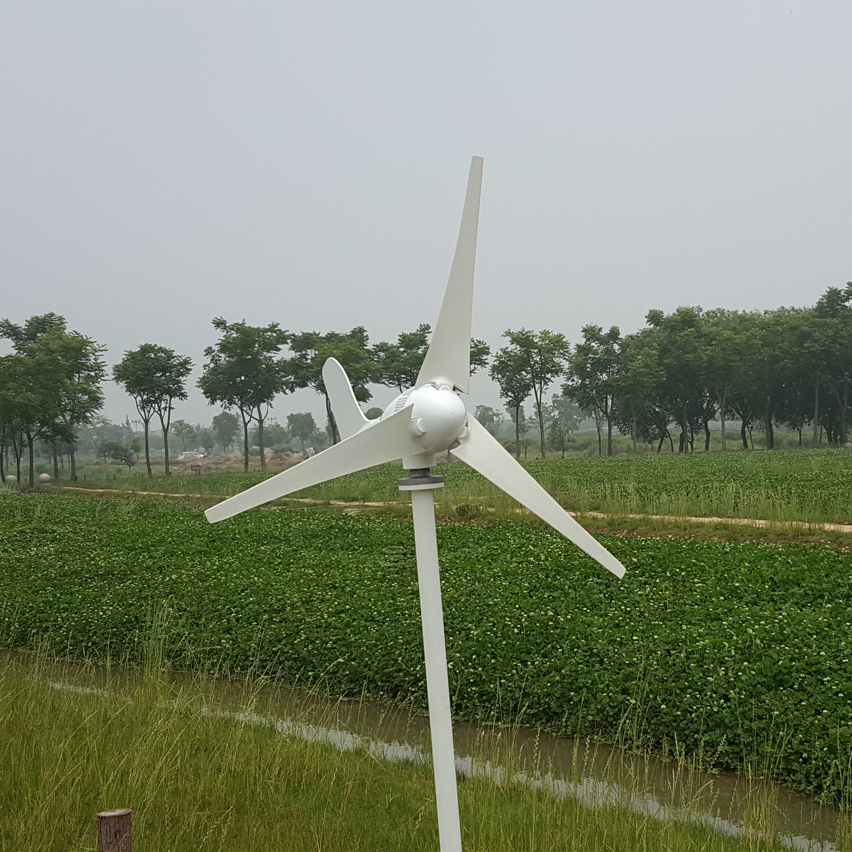 Renewable Energy for Home 200w - Renewable Energy Certificate incelemesi ve fiyatı